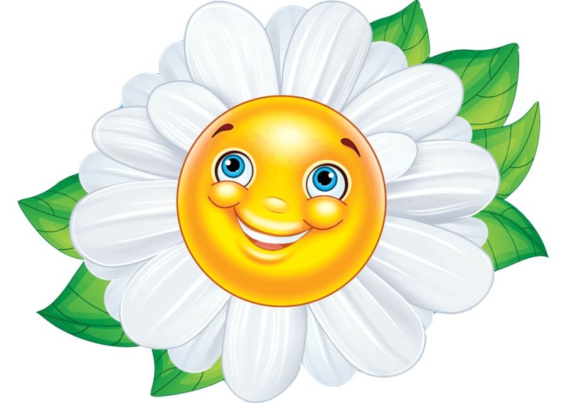 Цветочки с мордашками