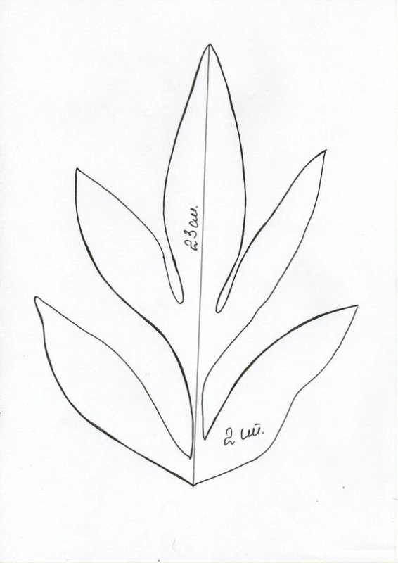 Трафареты листиков для цветов