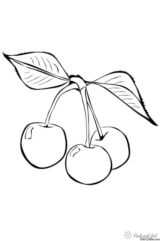 Вишня картинка для детей раскраска