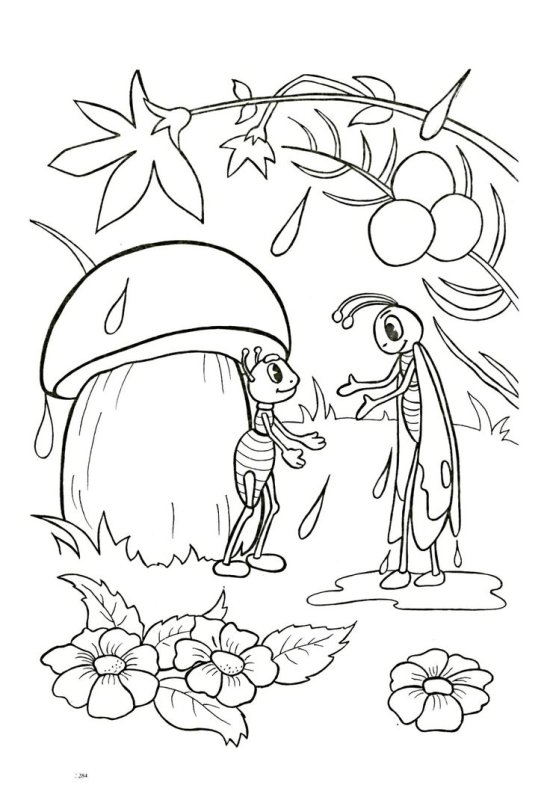 Раскраски по сказкам Сутеева для детей яблоко