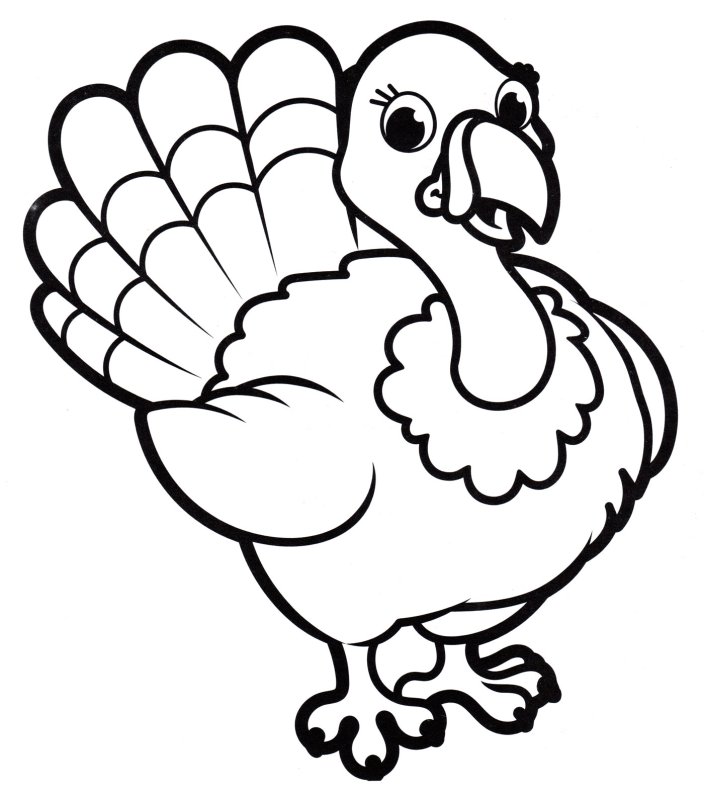 Индюк раскраска для детей