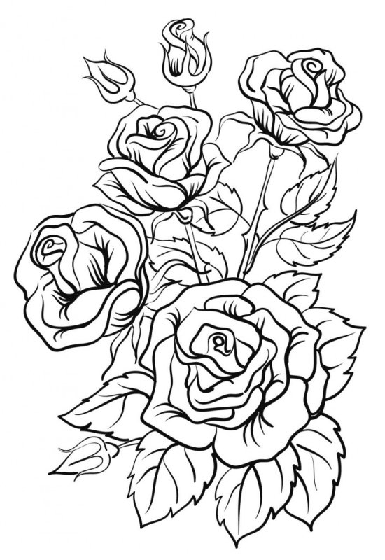 Цветы рисунок