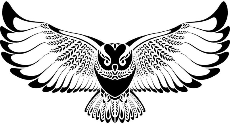 Силуэт Совы
