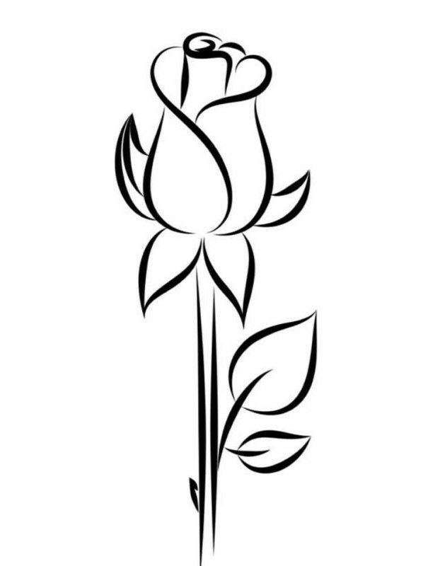 Контуры цветов для рисования