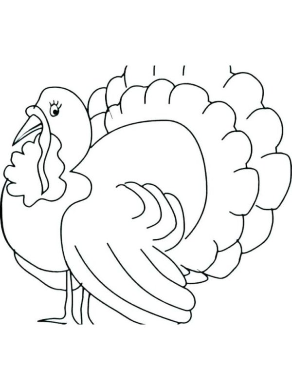 Домашние птицы раскраска для детей