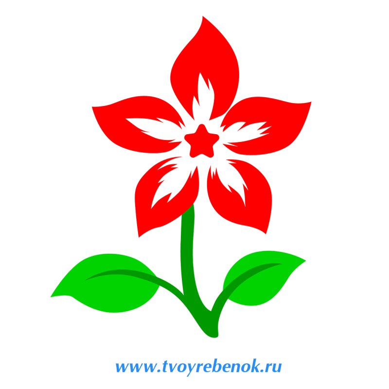 Трафареты цветов цветные
