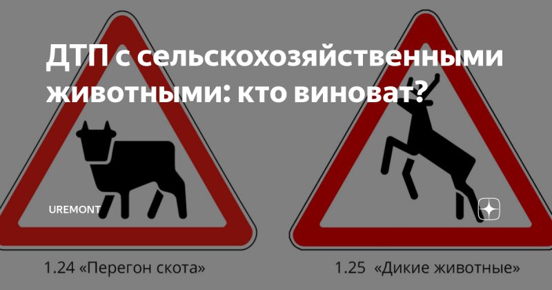 Перегон скота дорожный знак зона действия