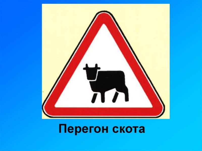 Знак 1.26. Перегон скота