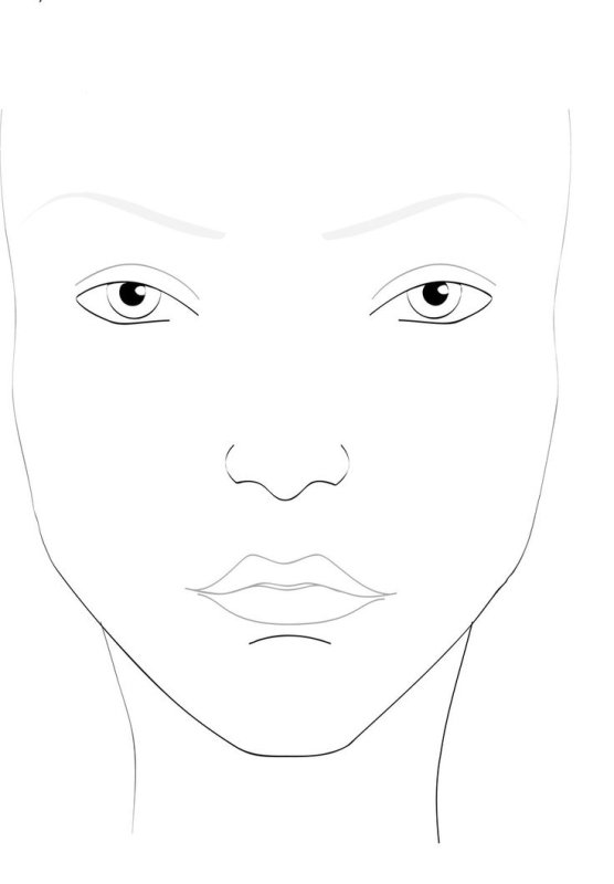 Face Chart для бровистов