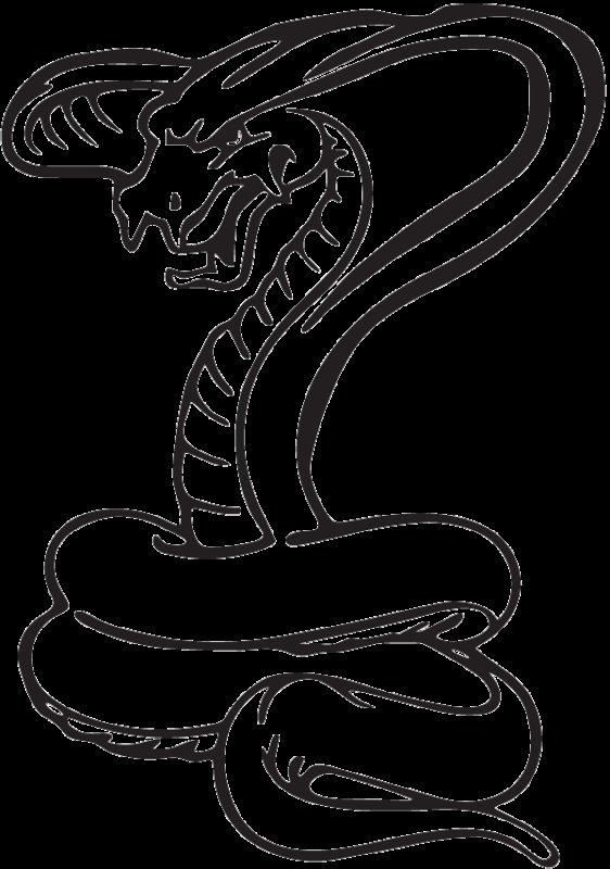 Кобра рисунок карандашом