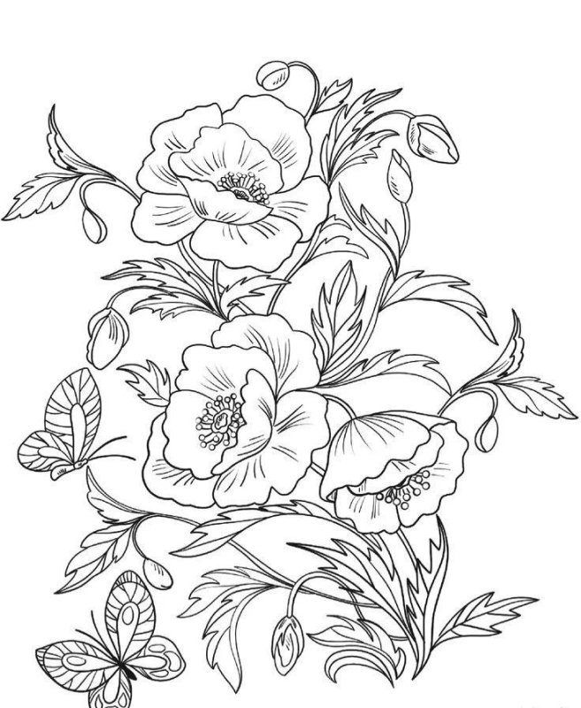 Раскраски цветов