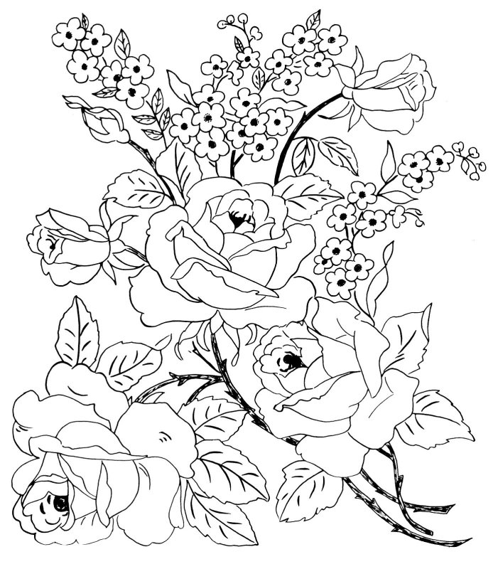 Цветы. Раскраска