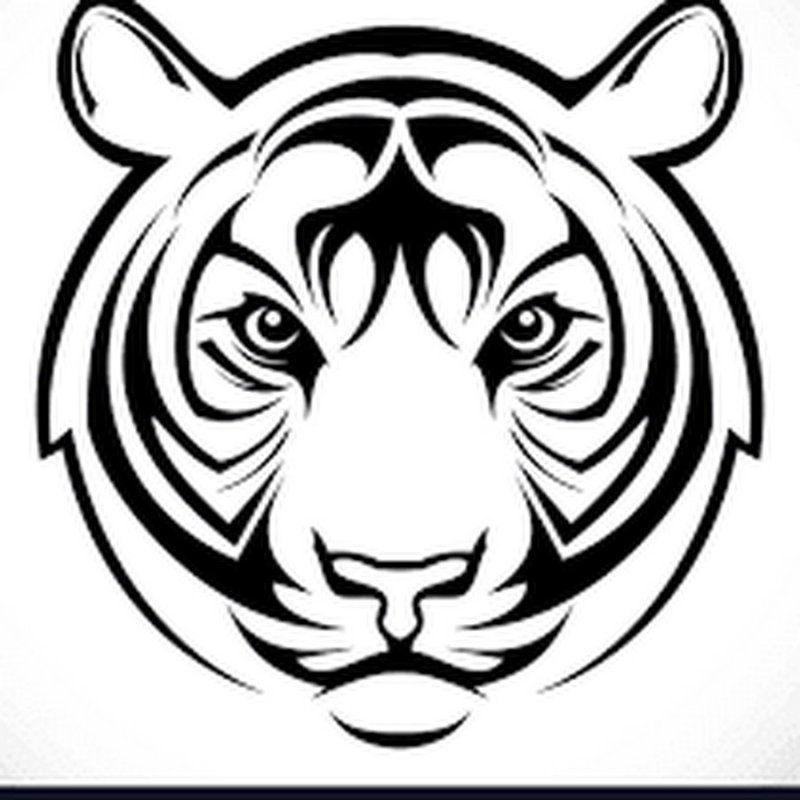 Тигр рисунок