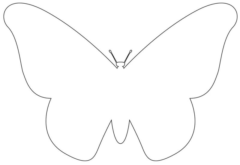 Шаблон бабочки
