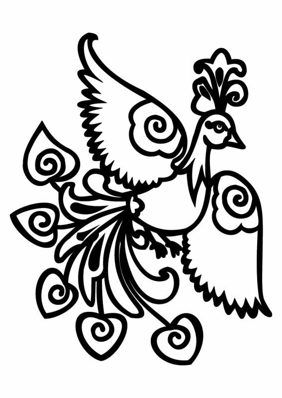 Жар птица раскраска