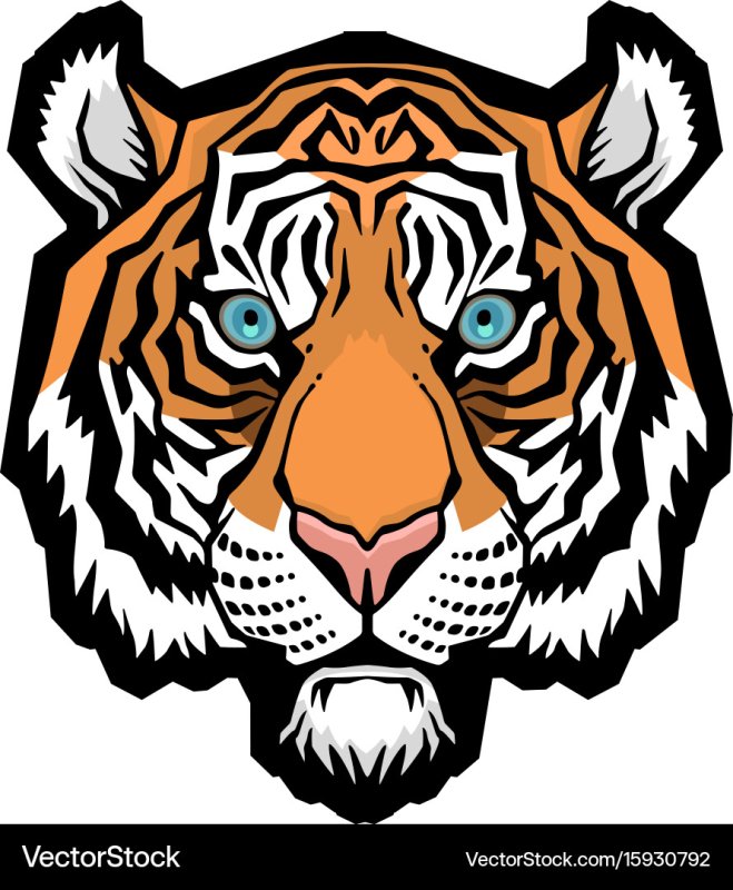 Тигр трафарет цветной