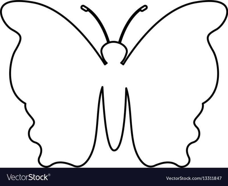 Трафареты бабочки