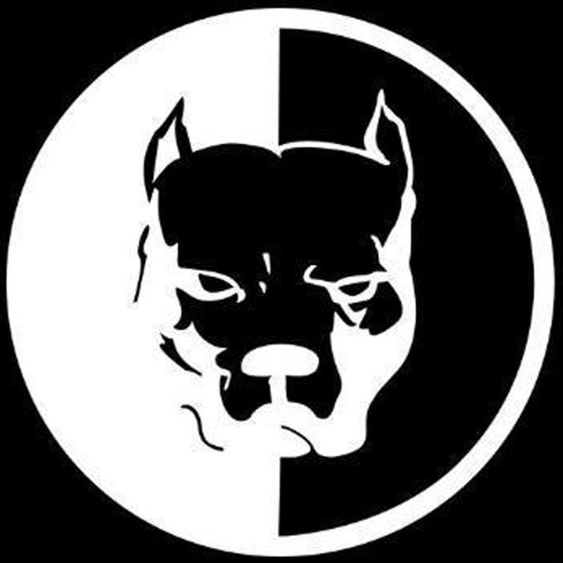 Эрик Давидыч питбуль