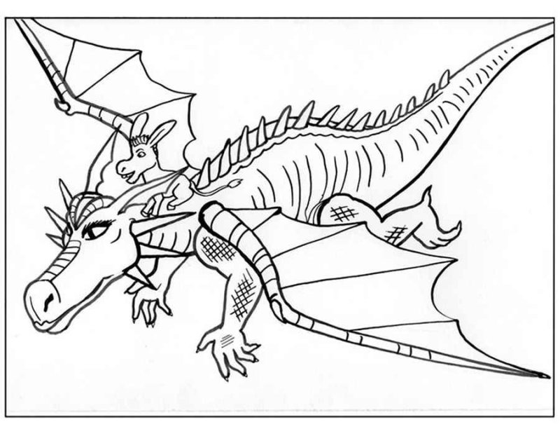 Дракон раскраска для детей