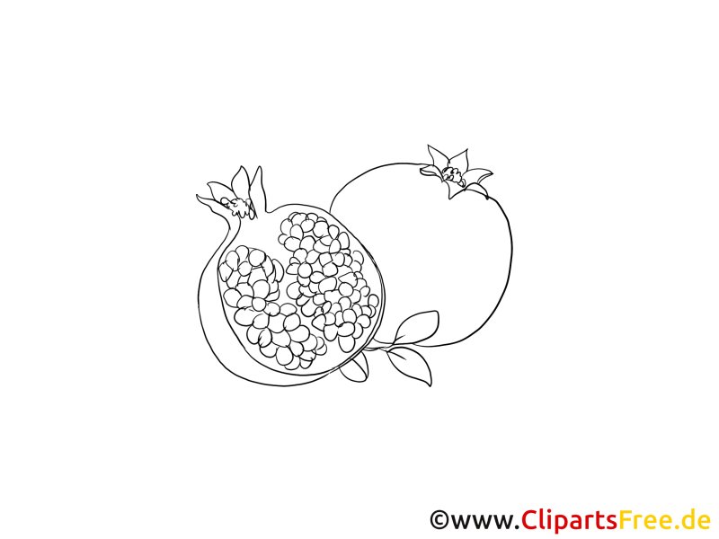 Раскраска фрукты гранат