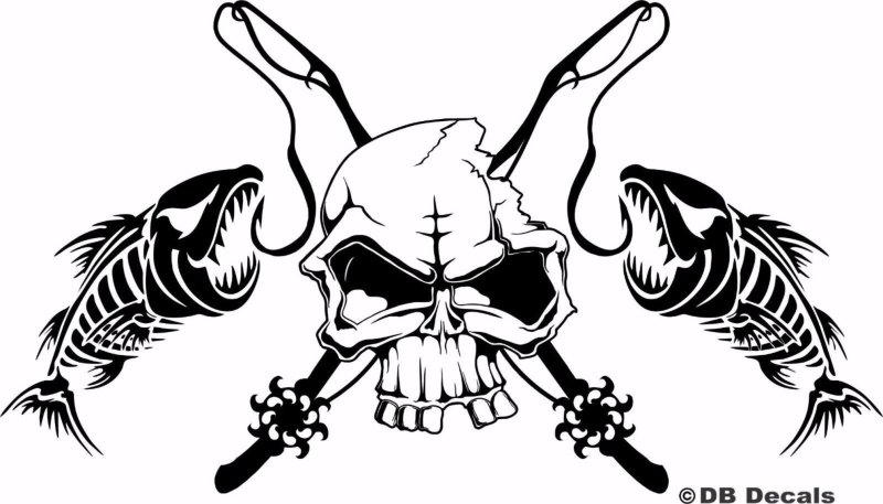 Скелет рыбы