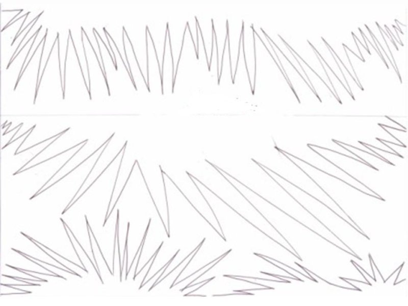 Еловая ветка трафарет на окно