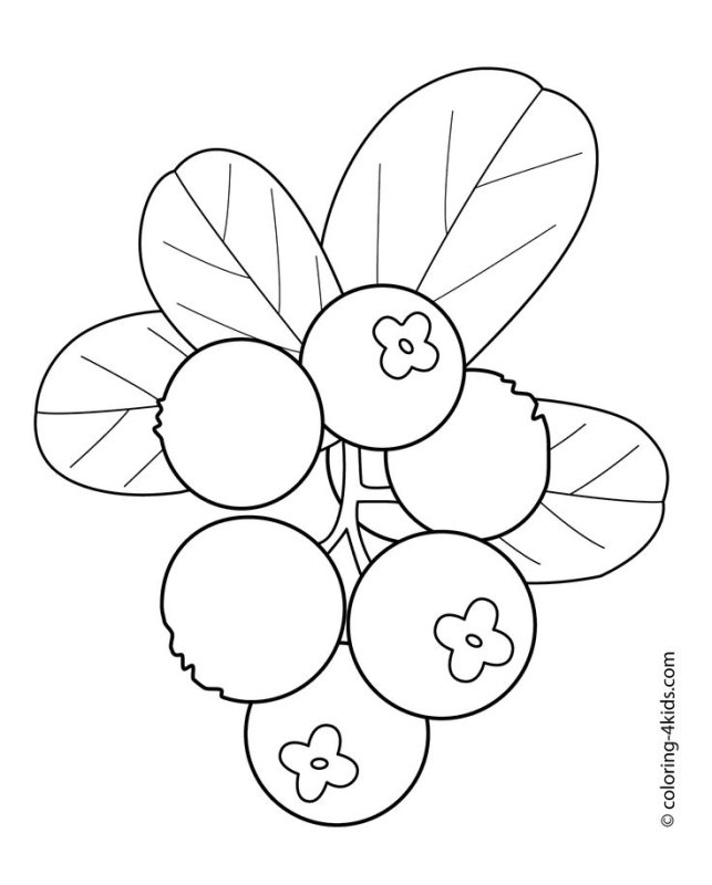 Клюква трафарет