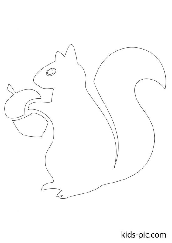 Трафарет белочки для рисования