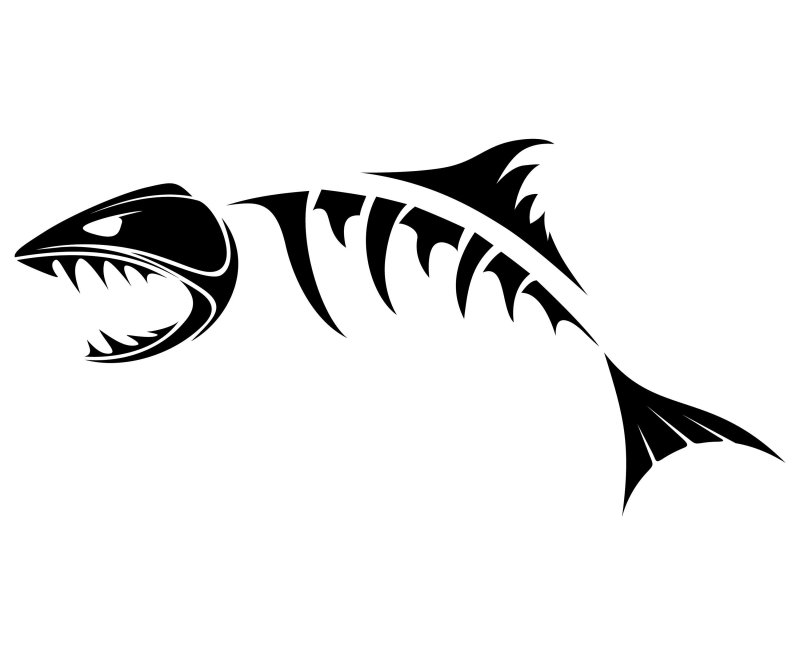 Скелет рыбы