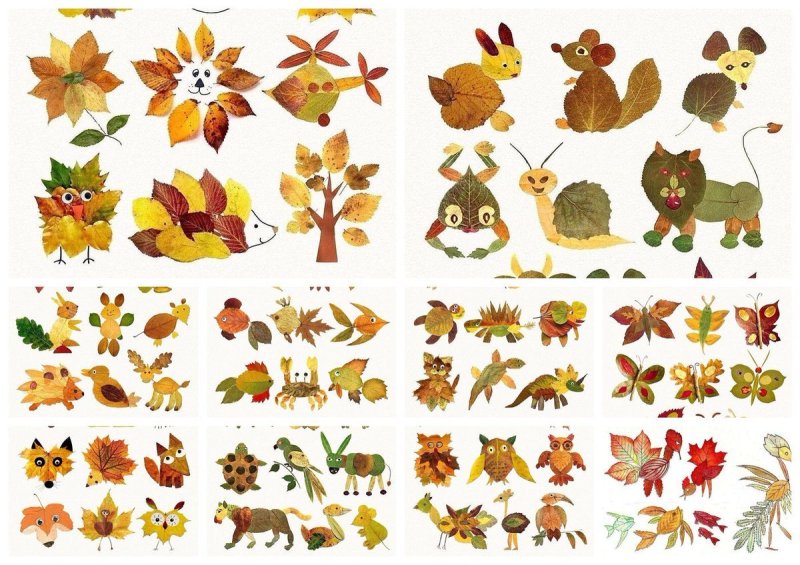 Животные из осенних листьев