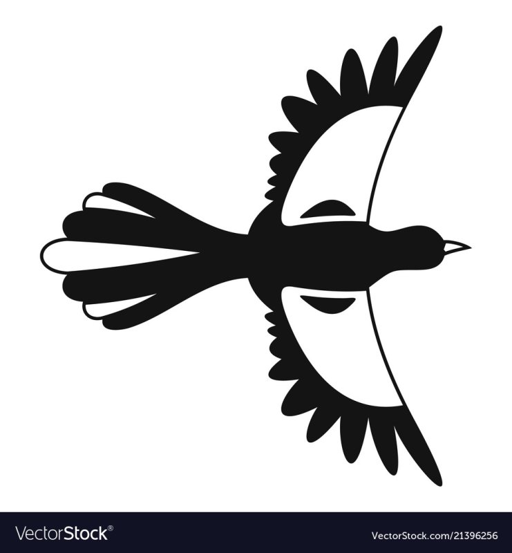 Сорока рисунок