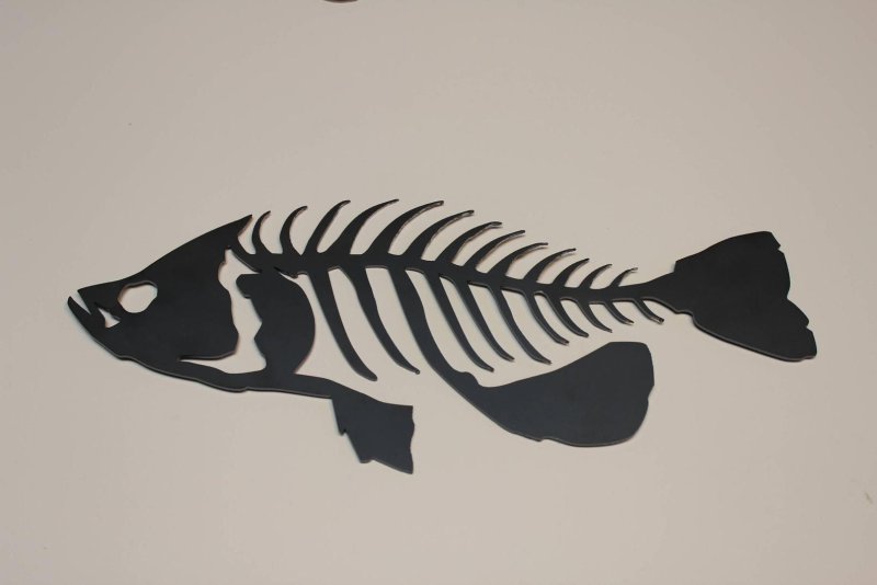 Скелет рыбы
