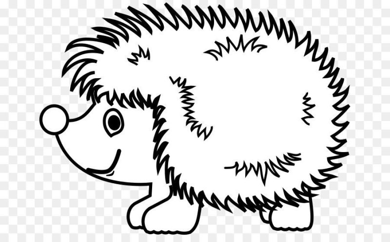 Ёжик раскраска для детей
