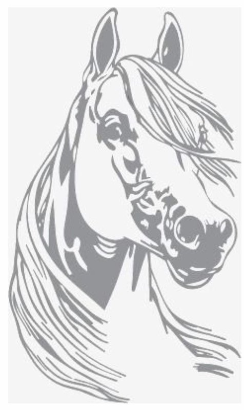 Силуэтное Выжигание по дереву