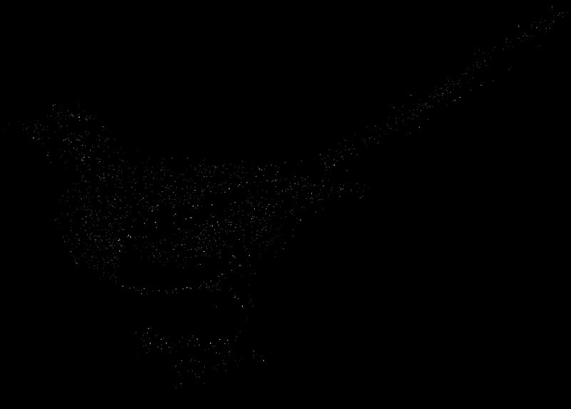 Раскраска птицы сорока