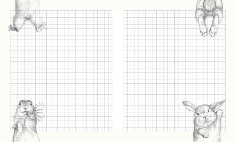 Листы для блокнота в клеточку