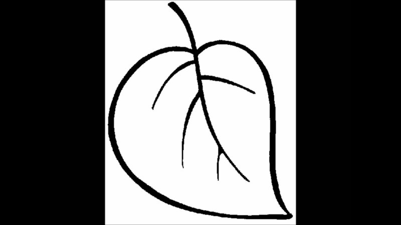 Трафареты "листья"