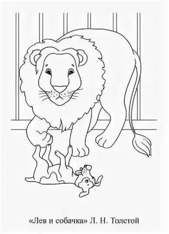 Рисунок про Льва и собачку Льва Толстого