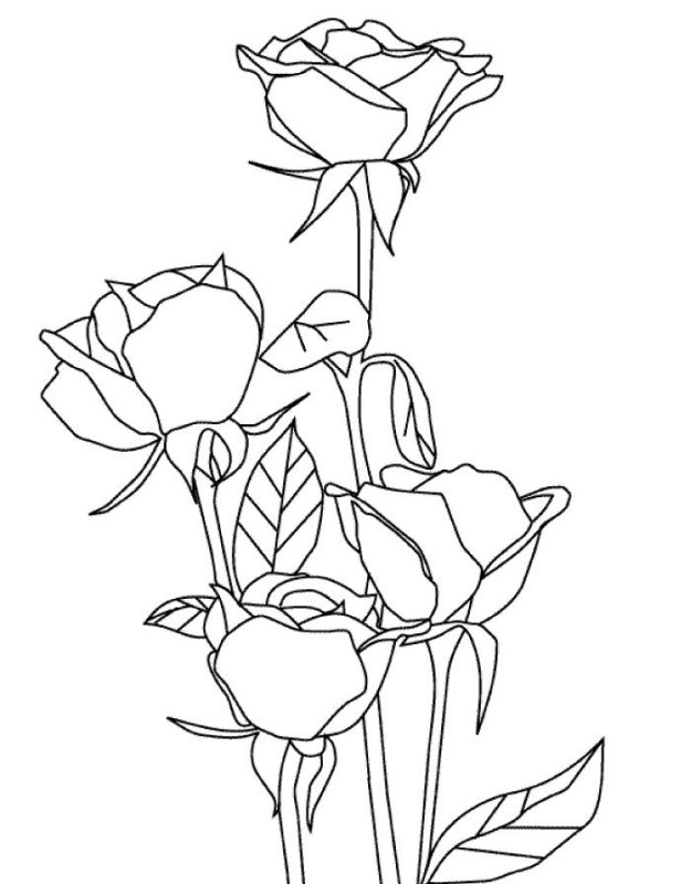 Рисунки для срисовки цветы