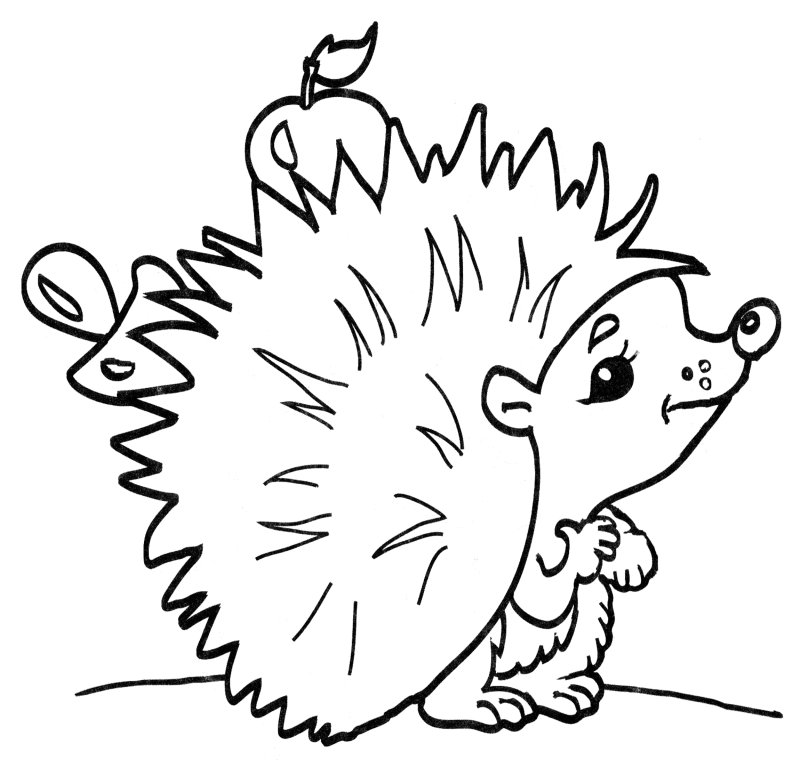 Раскраска Ёжик