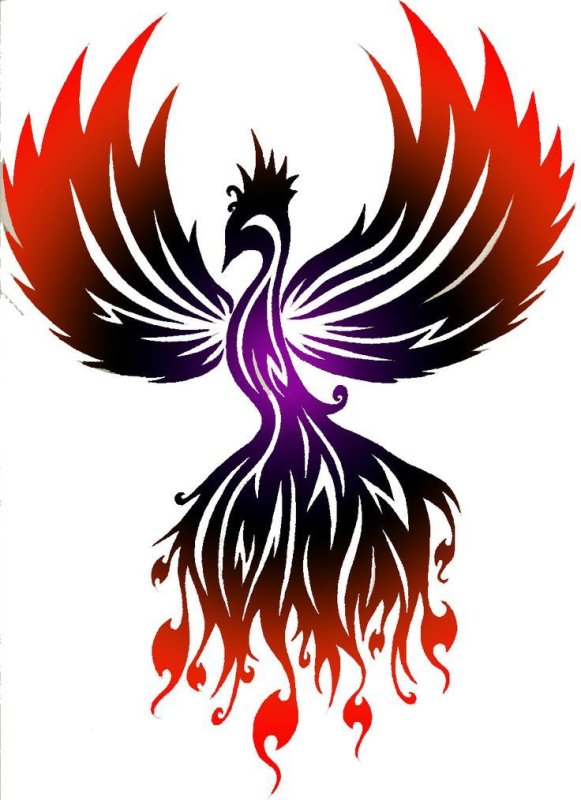 Феникс эскиз