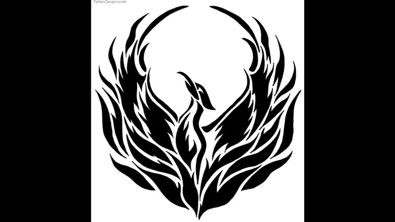 Феникс черно белый