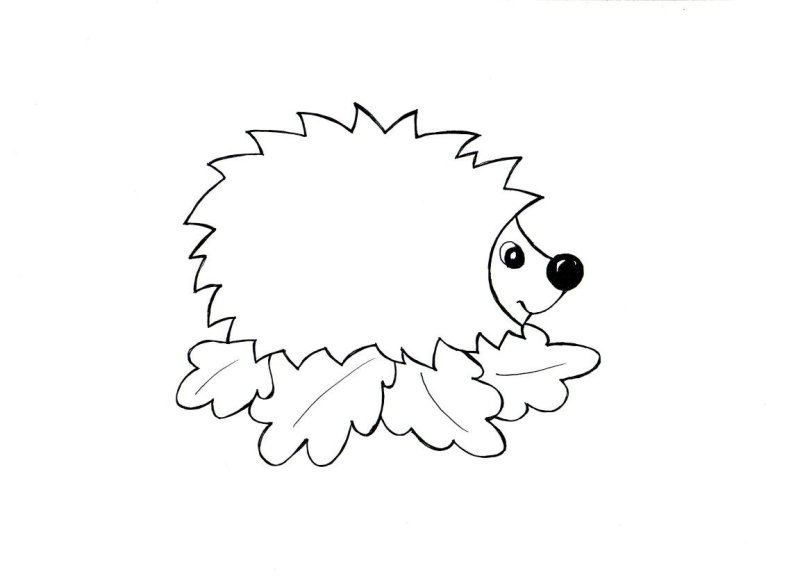 Еж раскраска для детей