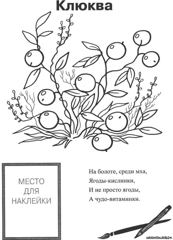 Брусника раскраска для детей