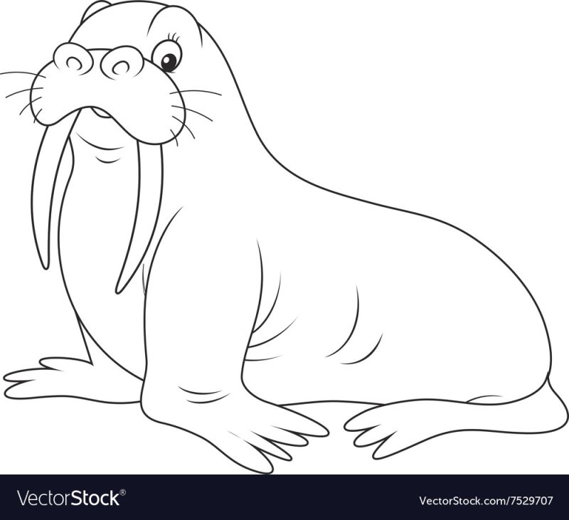 Животные севера раскраска для детей