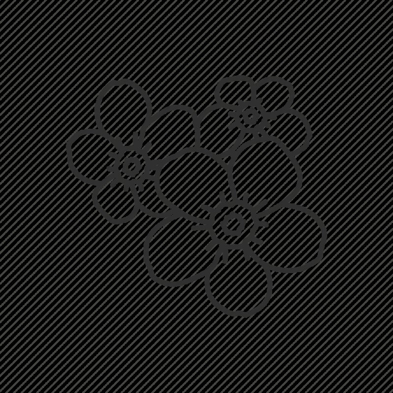 Раскраска цветы маленькие