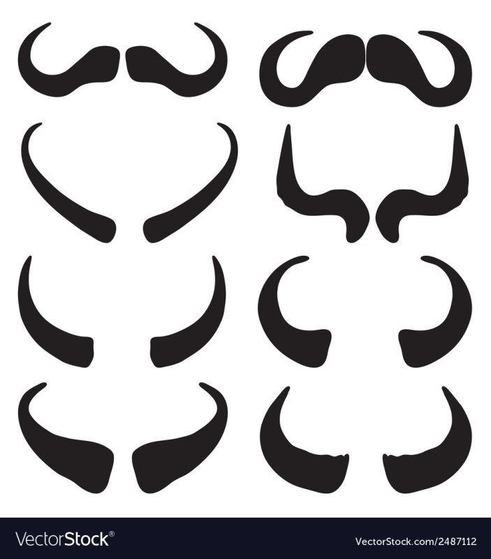 Орнамент рога