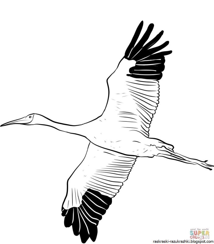 Журавли раскраска