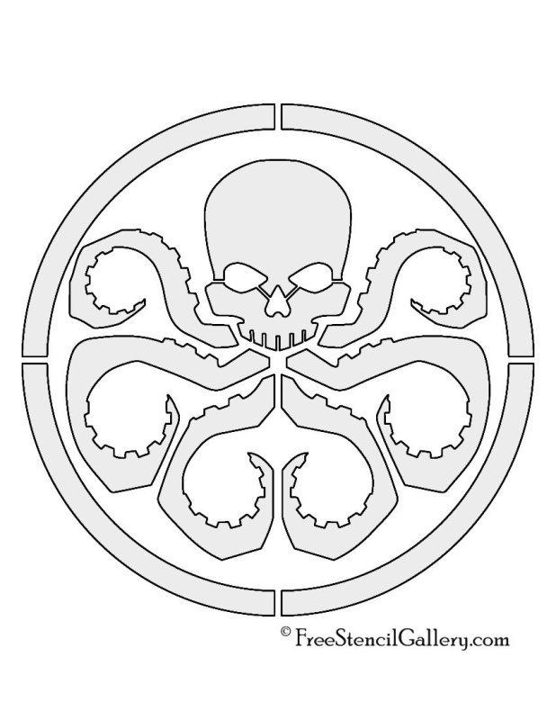 Череп чертеж