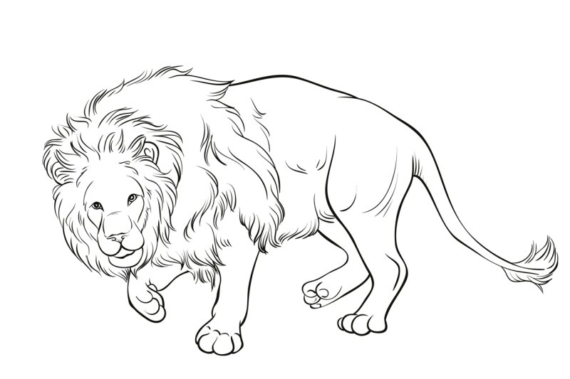 Лев и собачка толстой